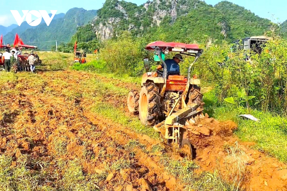 Máy kéo đang xới đất, chuẩn bị cho vụ trồng mới